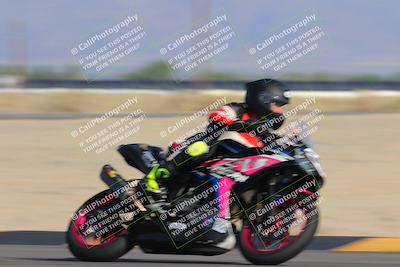 media/Sep-09-2023-SoCal Trackdays (Sat) [[6f49351c42]]/Turn 16 (830am)/